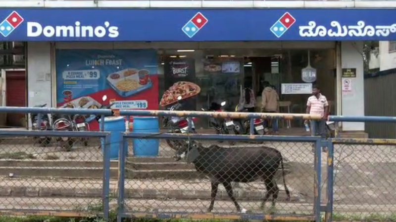 Dharwad Dominos Pizza Fine