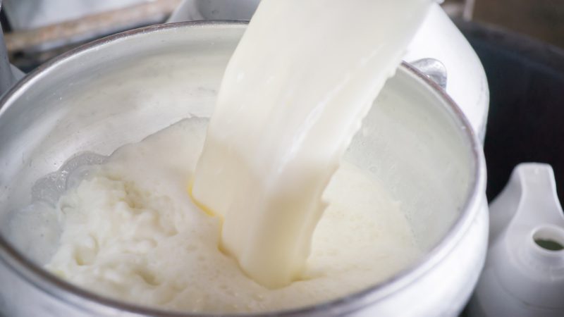 milk