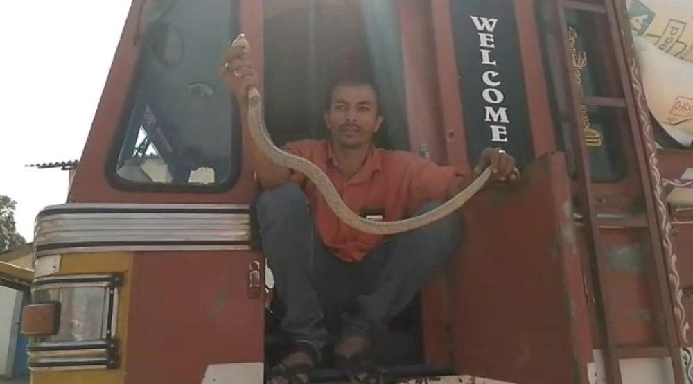 ckm snake 3