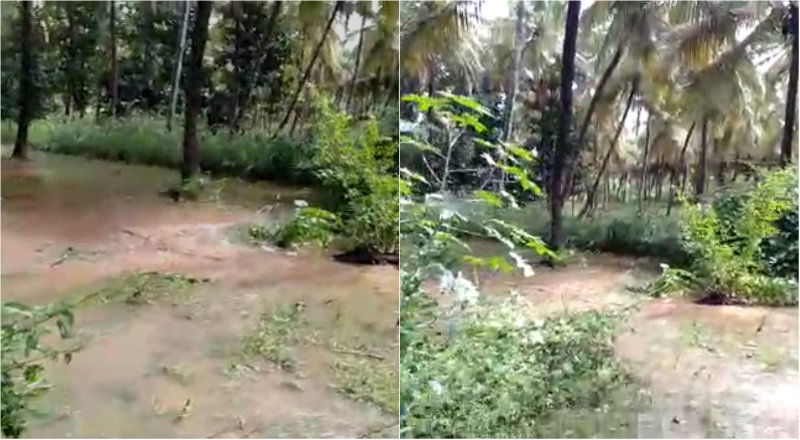 collage hsn kerekodhihalli