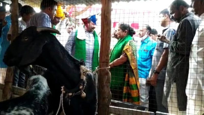 Vijayapura BC Patil5