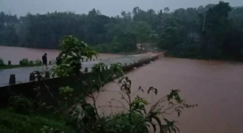 ckm rain 1 2 medium