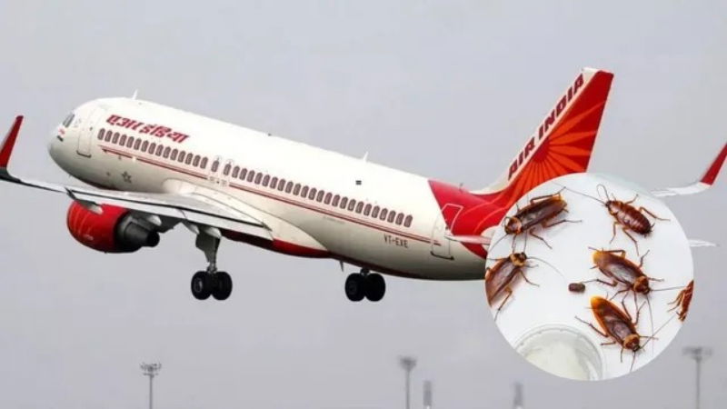 Air India
