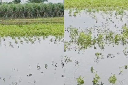 Bidar Rain
