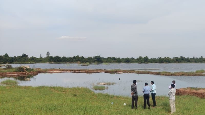 Chikkaballapura Virus 1