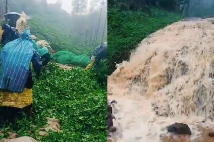 Heavy rain in Kalasa Water enters tea estate