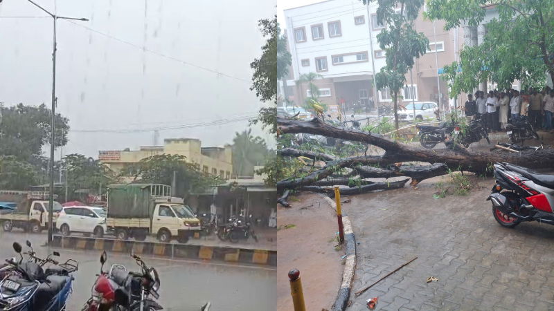 Kolar Rain