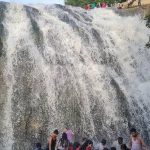 ಚುಂಚಿಫಾಲ್ಸ್ ಪ್ರವೇಶಕ್ಕೆ ಪ್ರವಾಸಿಗರ ಬಳಿ ಅಕ್ರಮ ಹಣ ವಸೂಲಿ – ಖಾಸಗಿ ವ್ಯಕ್ತಿಗಳ ವಿರುದ್ಧ ದೂರು ದಾಖಲು