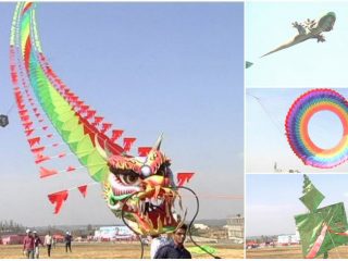 BLG KITE COLLAGE small