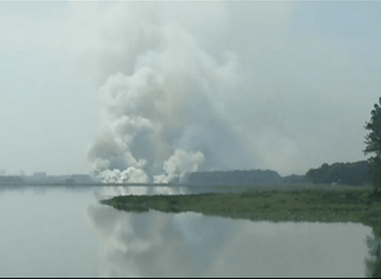 Bellandur Lake 4
