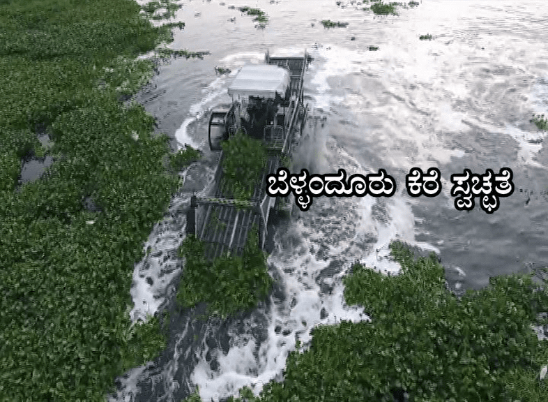 Bellandur Lake 5