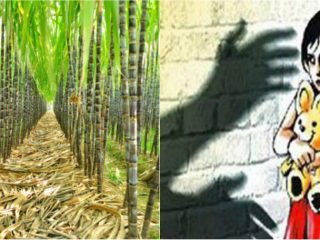 CANE RAPE small
