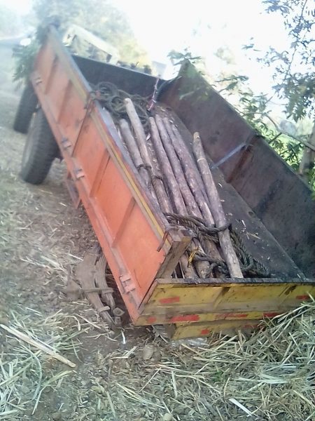 CKD ACCIDENT 5