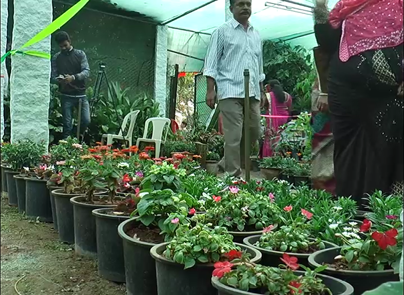 CKM FLOWER SHOW 12
