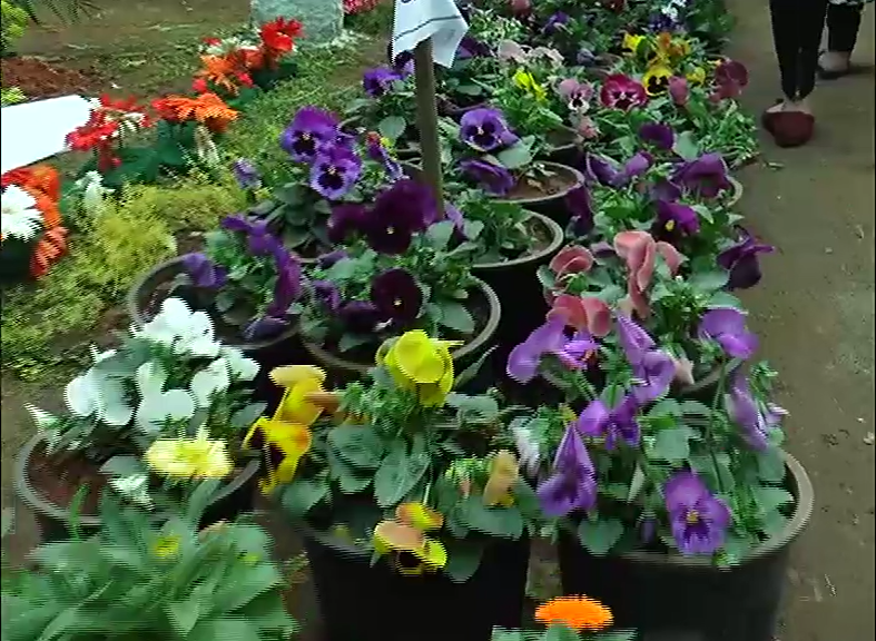 CKM FLOWER SHOW 21