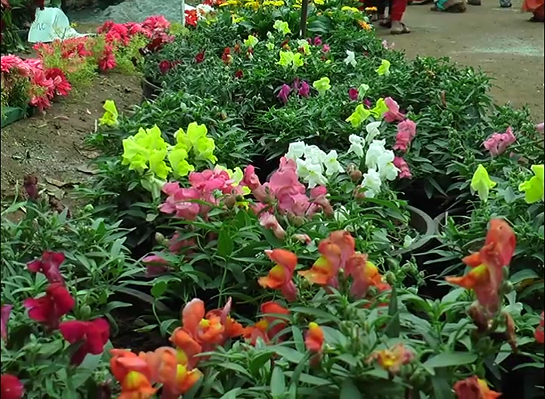 CKM FLOWER SHOW 22