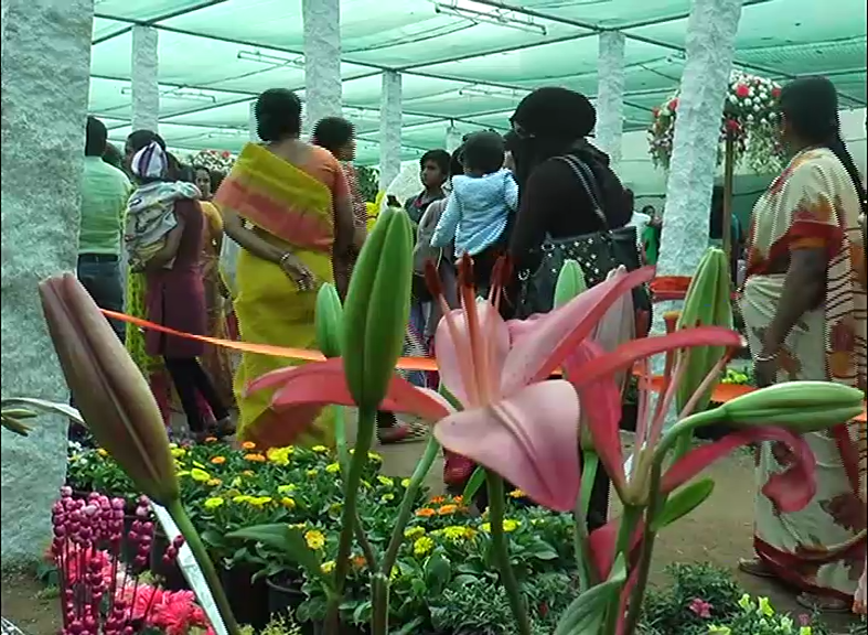 CKM FLOWER SHOW 23