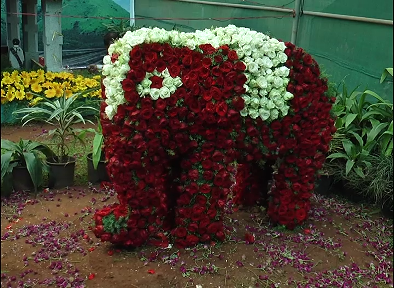 CKM FLOWER SHOW 5