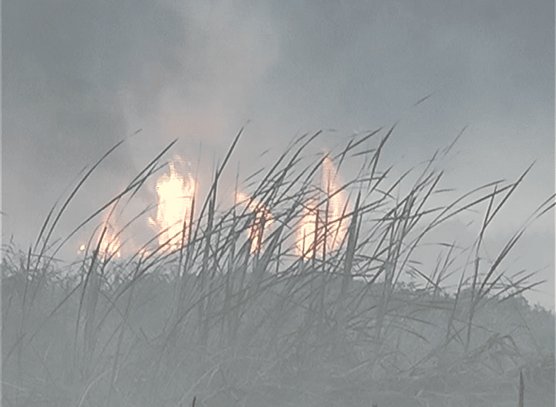 FIRE 2