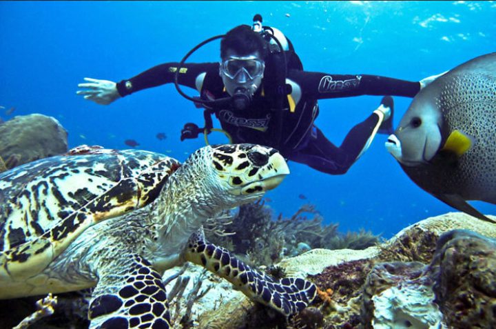 KWR SULBHA DIVING 11