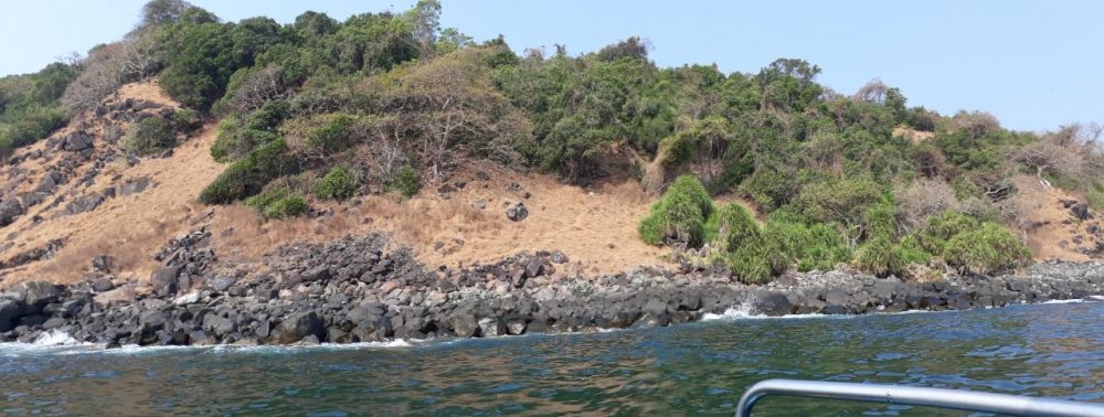KWR SULBHA DIVING 6