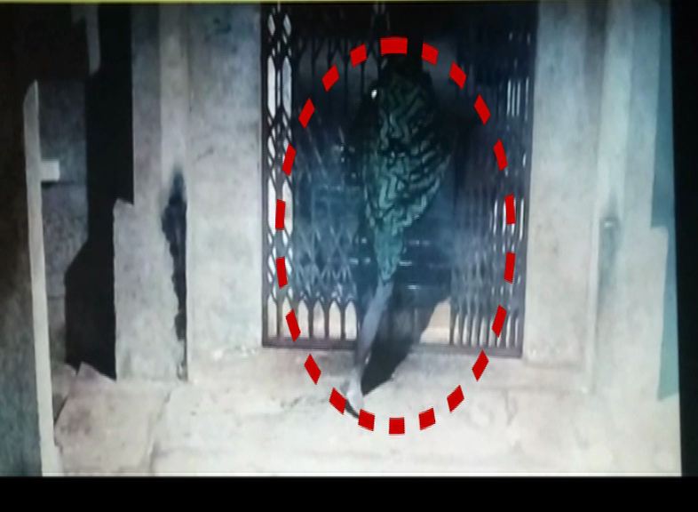 MND THEFT 4