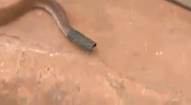 NML SNAKE 3