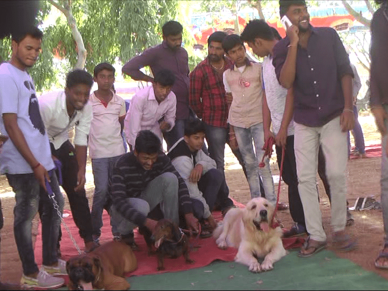 RMG KANKOTHSAVA DOG SHOW 2
