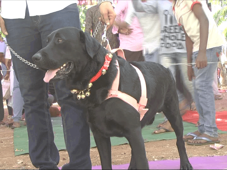 RMG KANKOTHSAVA DOG SHOW 3
