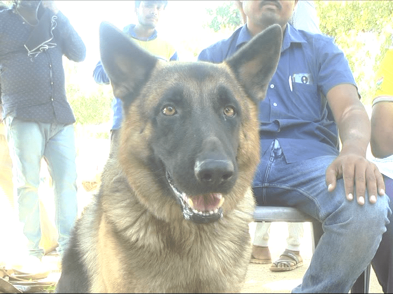 RMG KANKOTHSAVA DOG SHOW 4