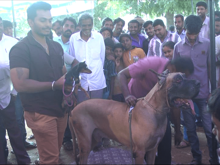 RMG KANKOTHSAVA DOG SHOW 8