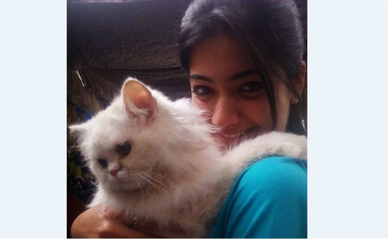 Rashmika Mandanna 1
