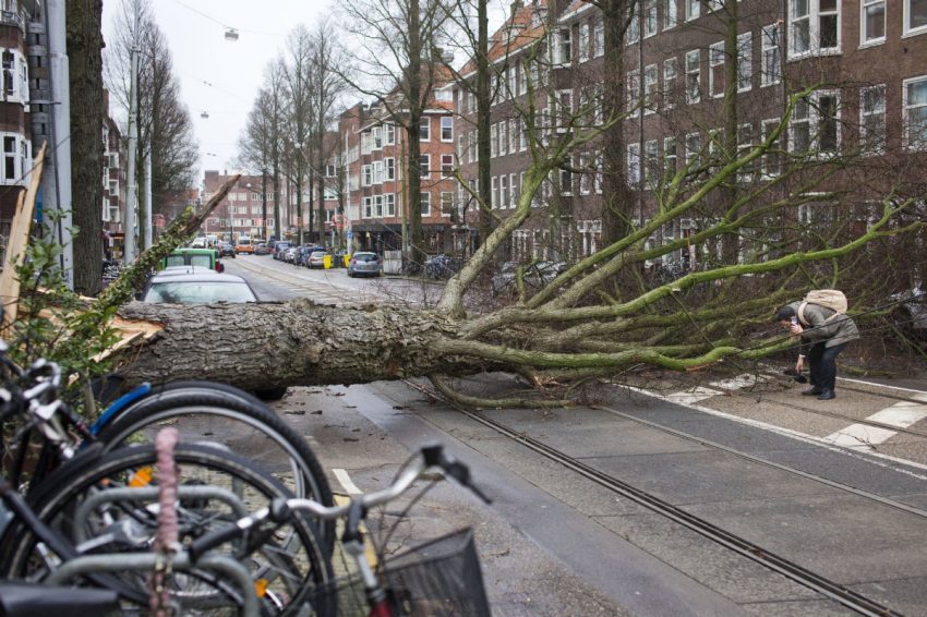 Storm 2