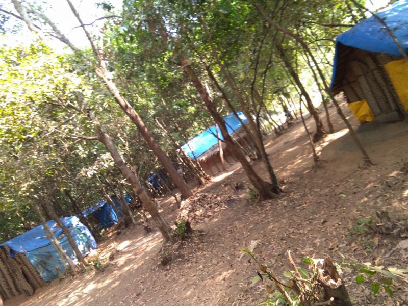 UDP HOME 5