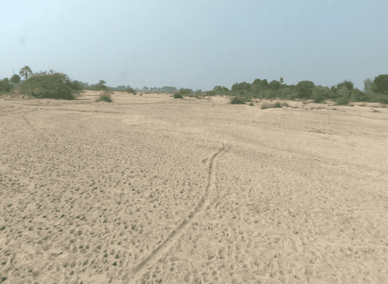YGR SAND 6