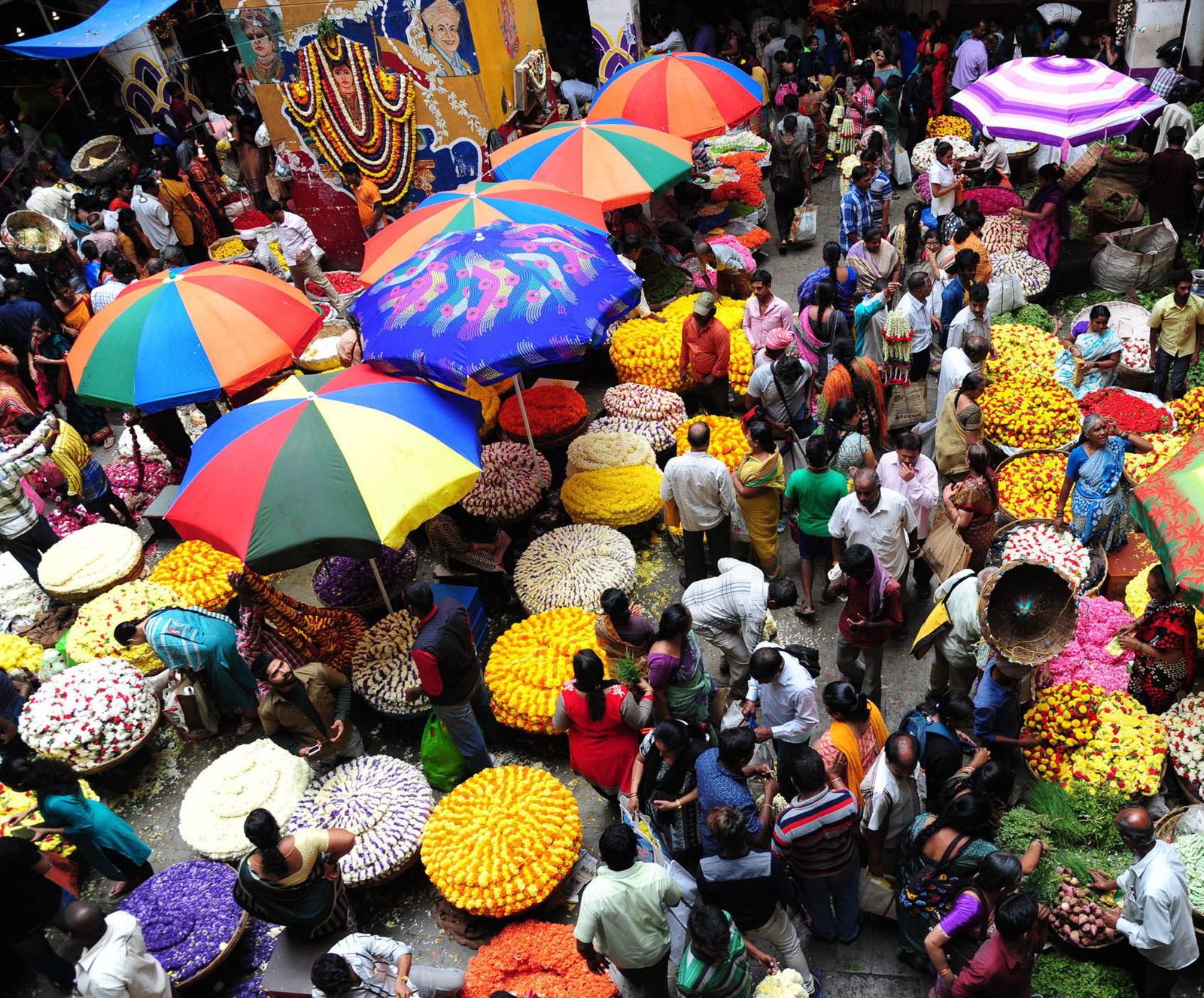 bangalore 1