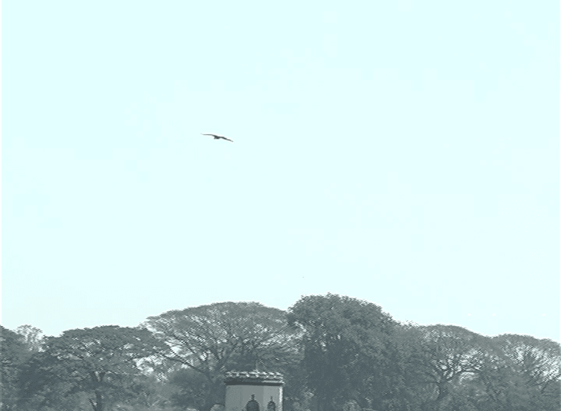 hesarghatta 9