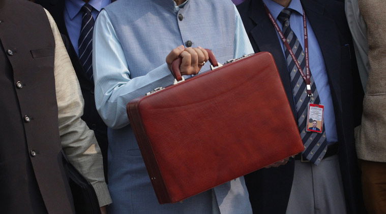 jaitley budget bag 759