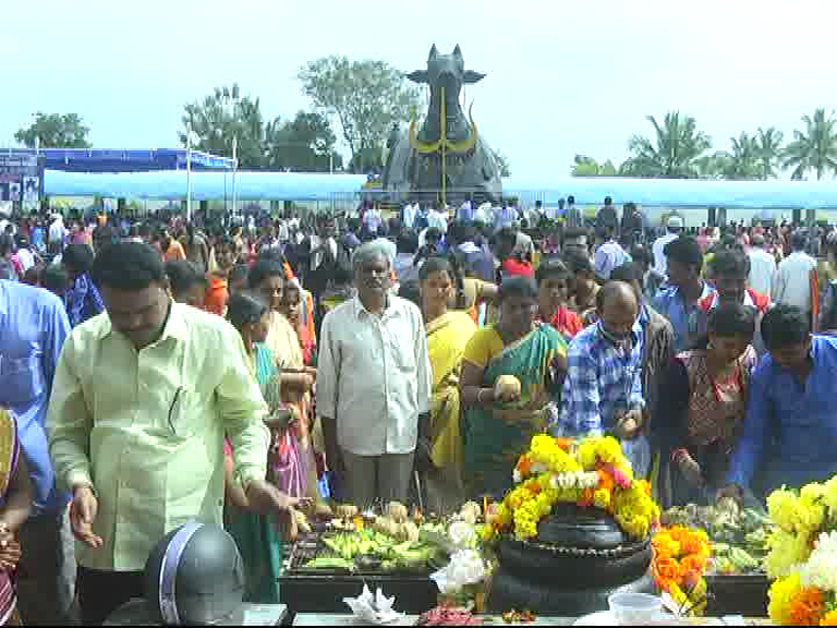 kolar new year kotilinga 6