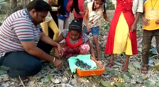 mnd maarana ahoma