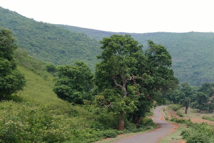 odisha