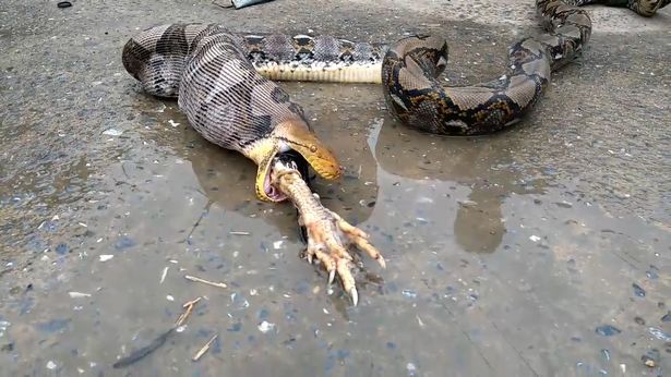 python 2