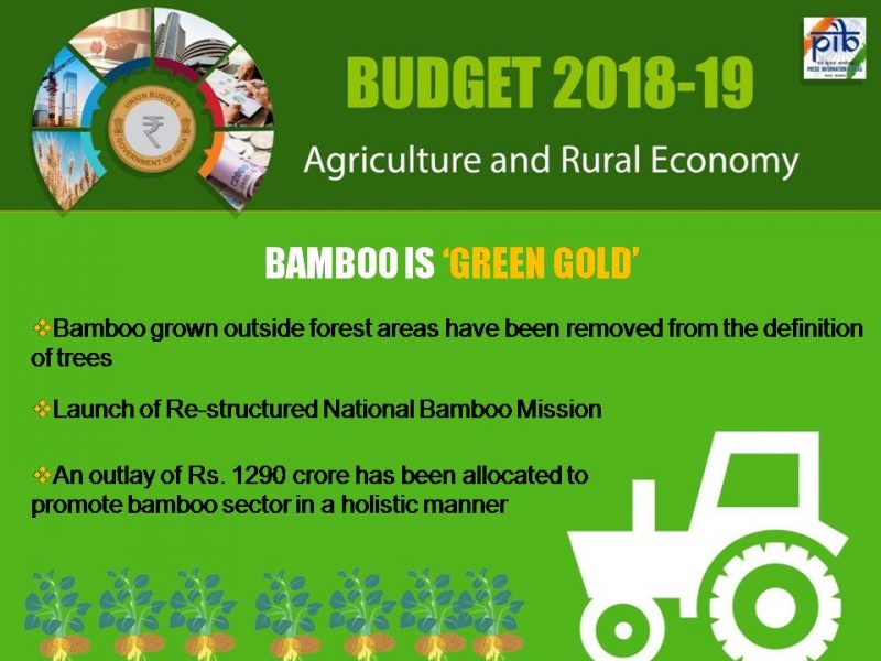 BUDGET PIB 7