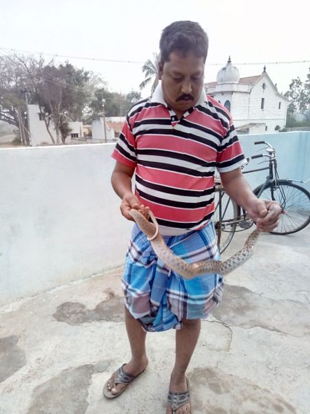 CNG SNAKE 9