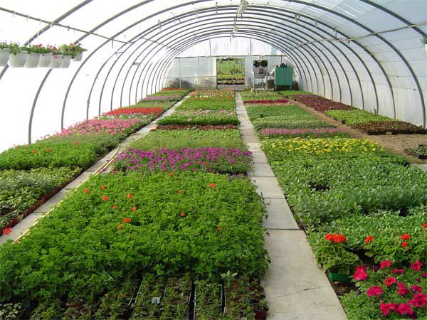 HORTICULTURE 1