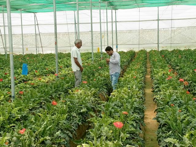 HORTICULTURE 3