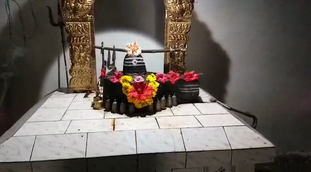 HSN GOD SNAKE 1