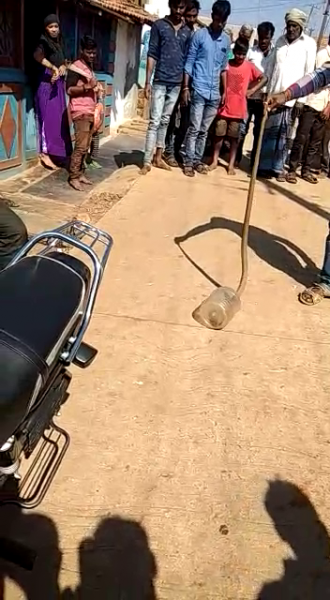 HVR Snake 1