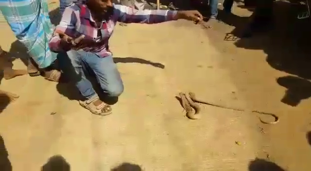 HVR Snake 3
