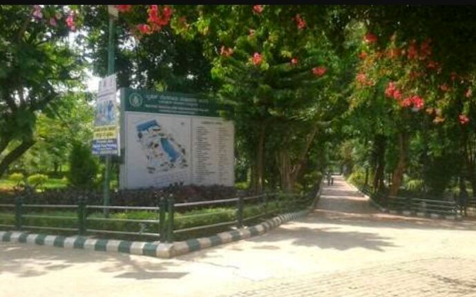 J.P PARK 2